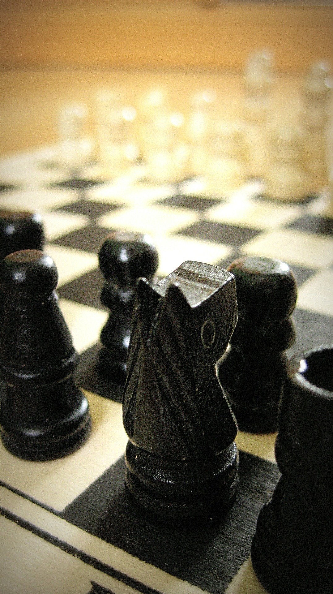So mancher Schachspieler hat hunderte Schachpartien Zug um Zug im Gedächtnis gespeichert und ruft sich Spielsituationen nach Bedarf ab.      Foto: pixabay.com © DGlodowska (CCO Public Domain)